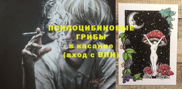 PSILOCYBIN Красноперекопск