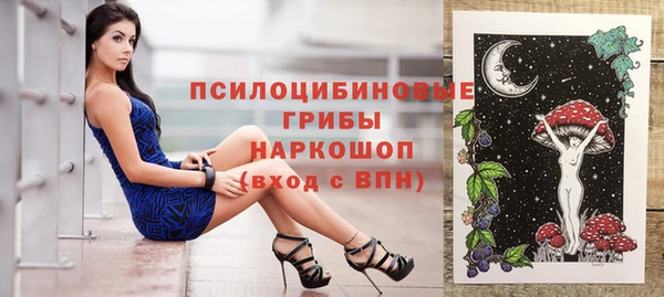 шишки Кукмор