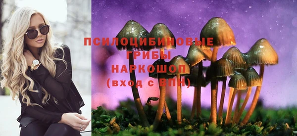 шишки Кукмор