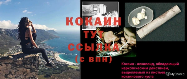 PSILOCYBIN Красноперекопск