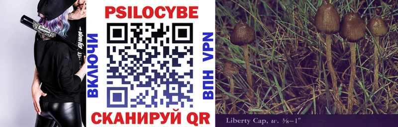 Псилоцибиновые грибы ЛСД  сколько стоит  Мичуринск 